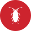 Pest Control - Cockroach